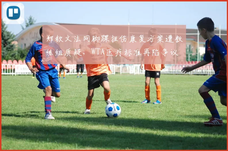 郑钦文法网脚踝扭伤康复方案遭教练组质疑，WTA医疗标准再陷争议